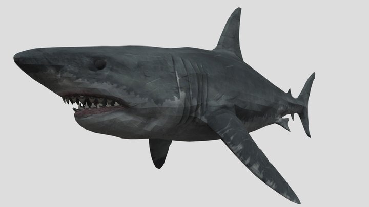 Bruce The Shark