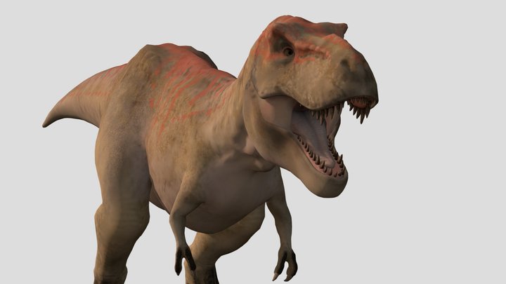 T-rex 3D Model