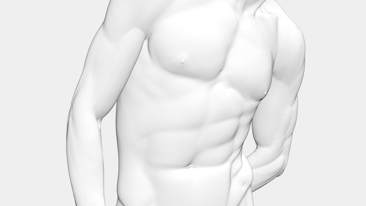 Human 3D Model