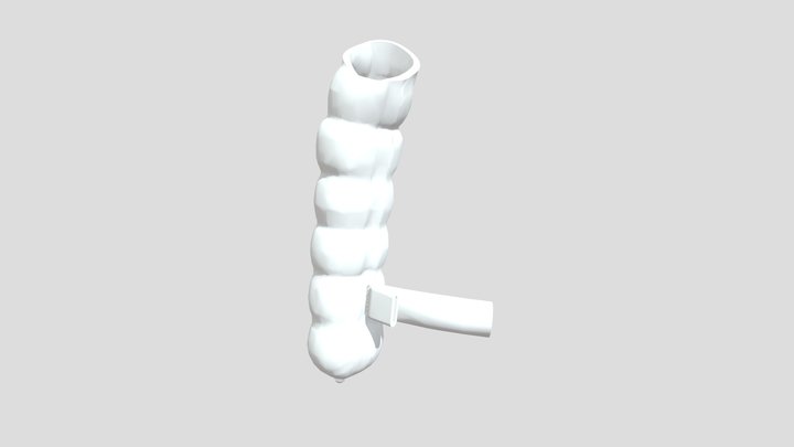 Anastomoz 1st Phase Formirovanie Hobotka 3D Model