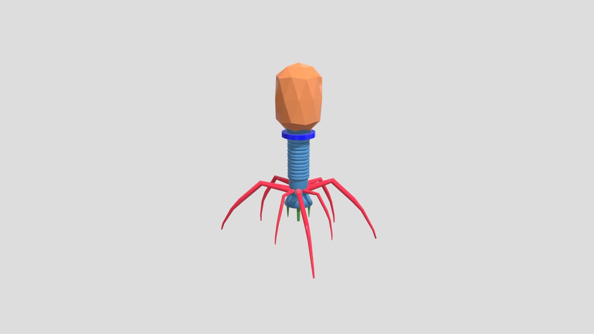 Bacteriophage Model