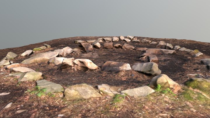 Camp Fire 3D Model