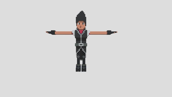 Voxel Mage Player 3D Model