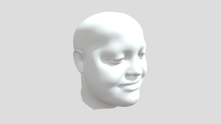 Face draft 3D Model