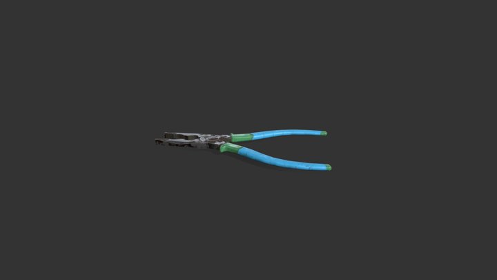 pasatizhi 3D Model
