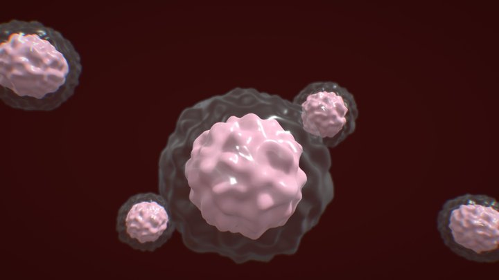 Cell 3D Model