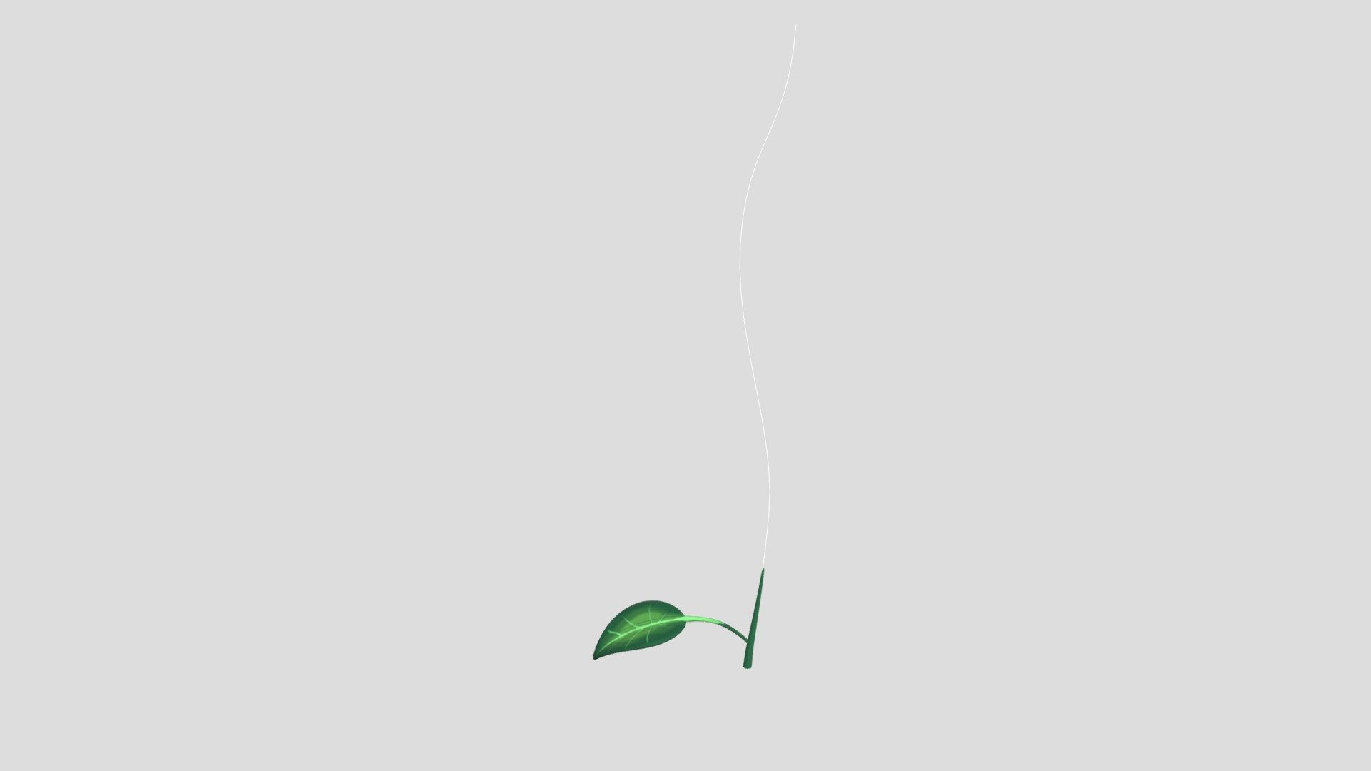 Plant_01