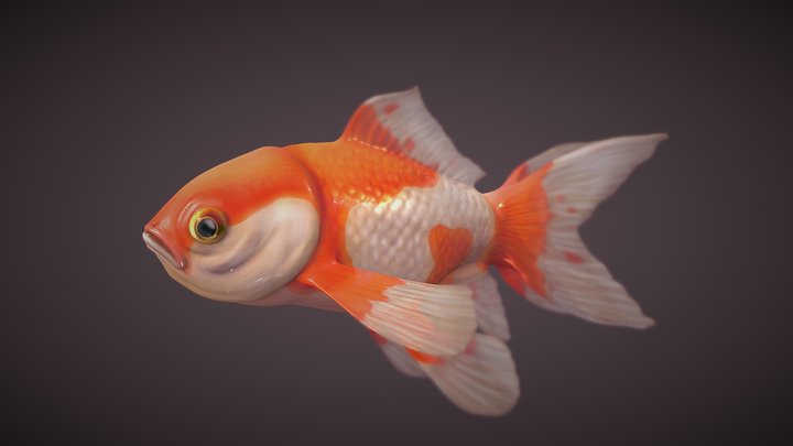 Ryukin Goldfish #FishChallenge 3D Model