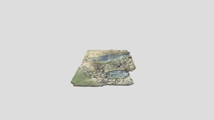 Rock art Gamleby 3D Model