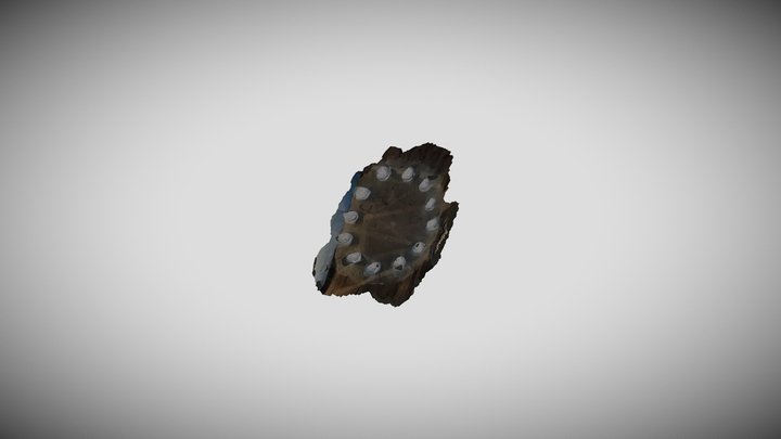Europe Fly and Shine 3D Model