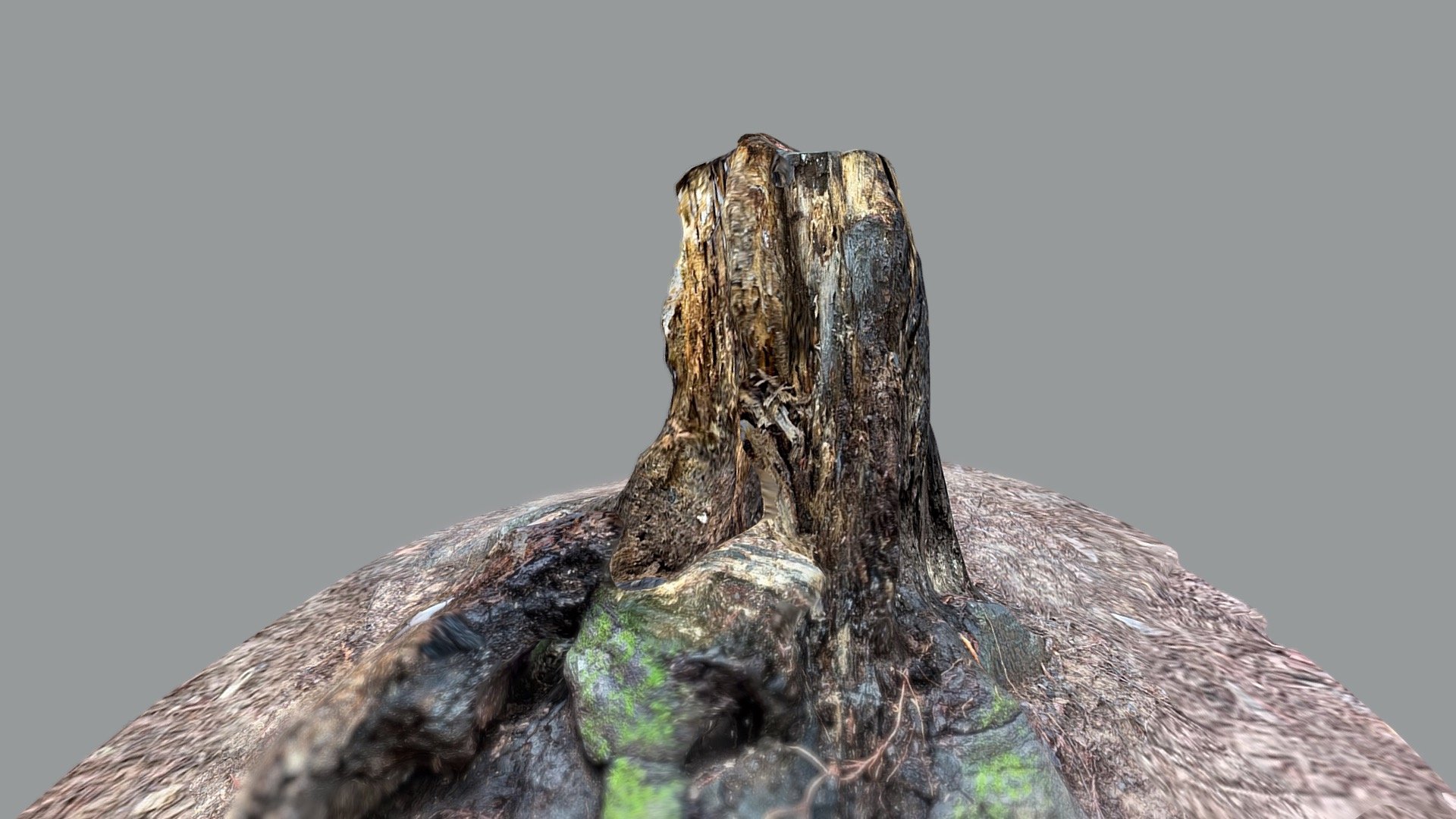 51: Stump