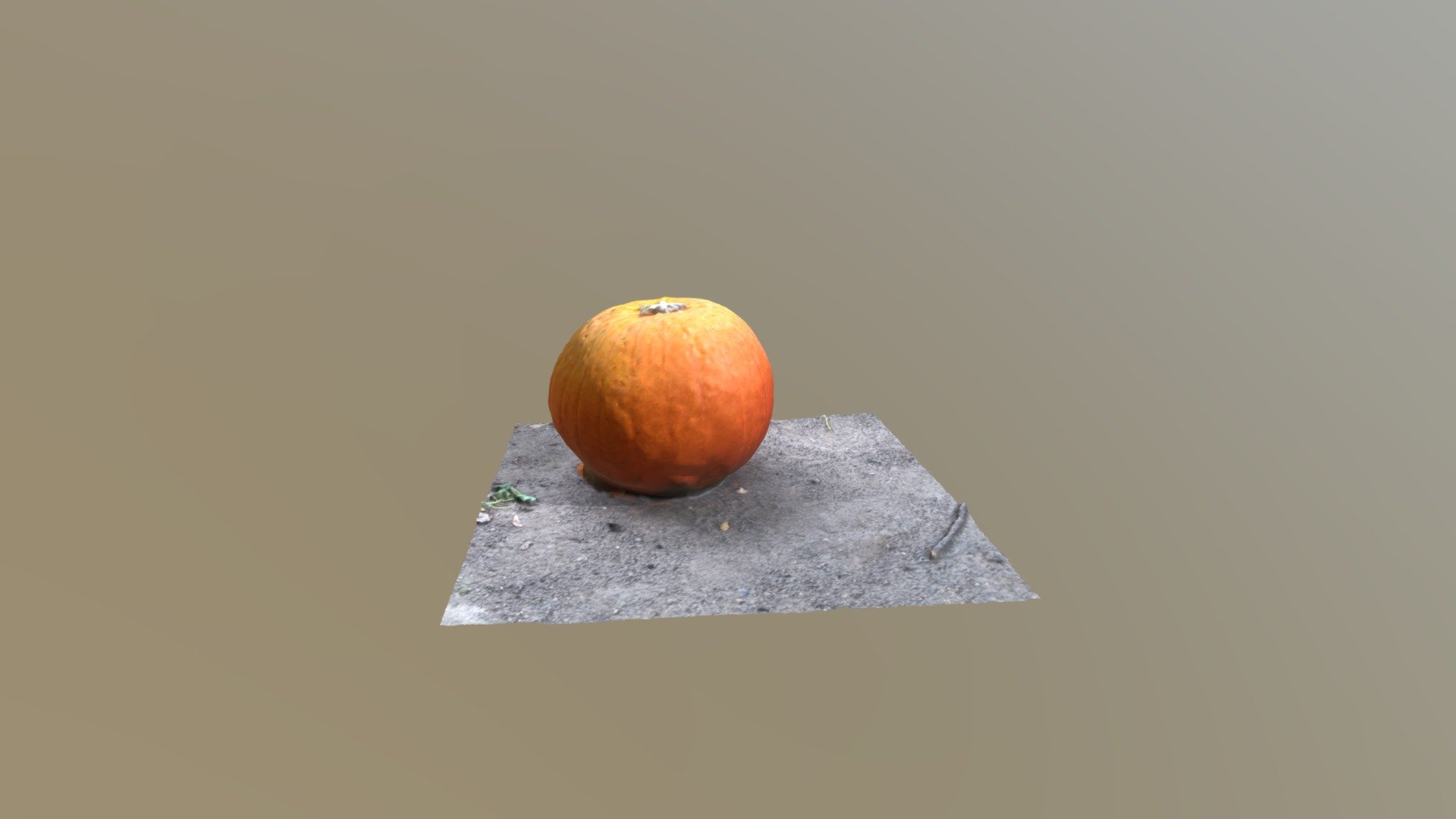 Pumpkin Scan