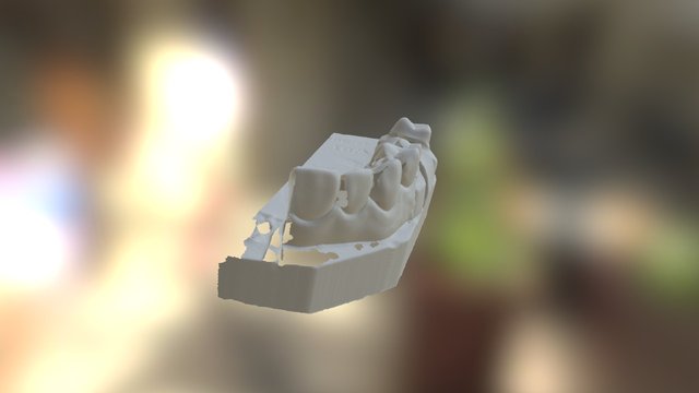 Dişler 3D Model