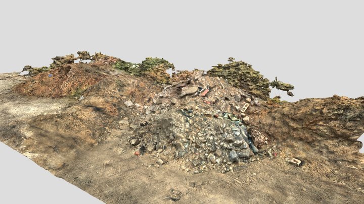 ag_dirtScan_t1_003e RapidCapture test 3D Model
