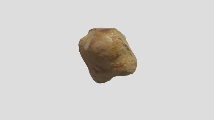 Stellar Sea Lion - Pisiform (R) 3D Model