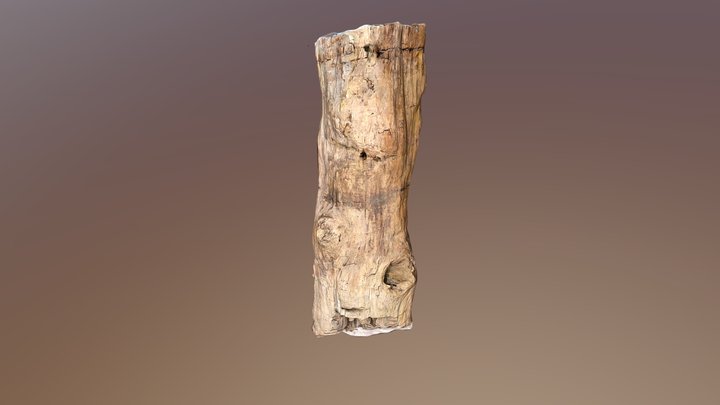 Jurassic Petrified Log 3D Model