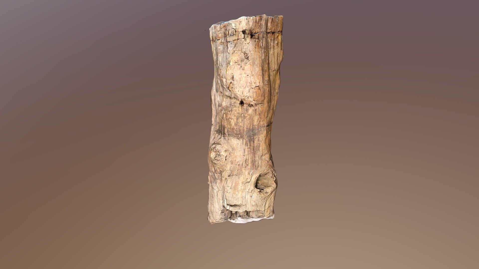 Jurassic Petrified Log