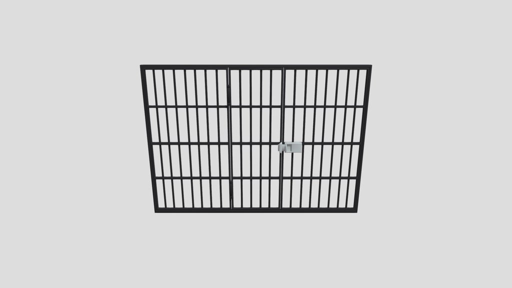 Prison Door