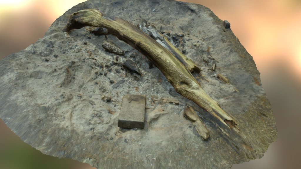 Kampvuur 3D