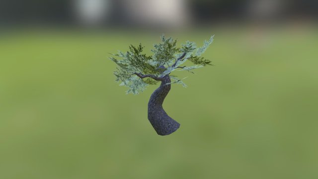tree 3D Model
