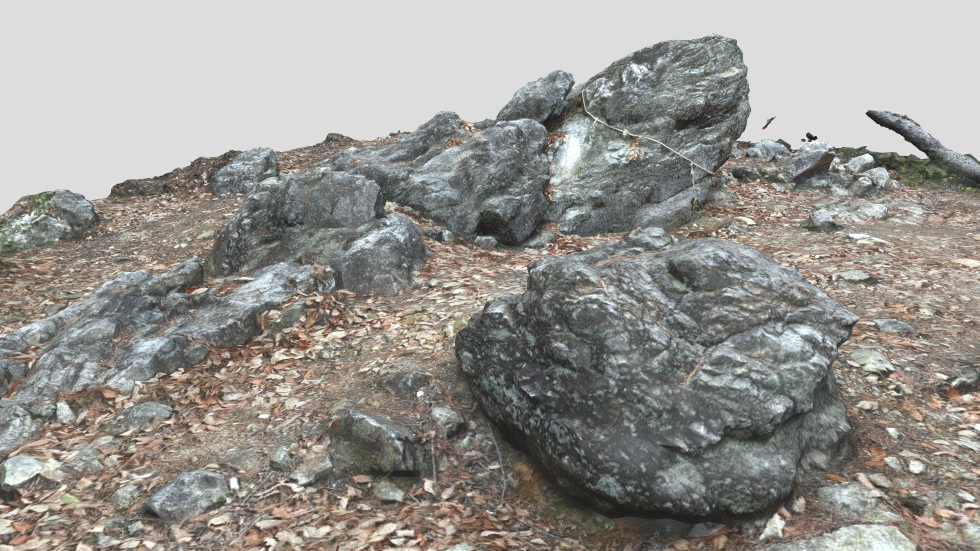 神山垂迹石