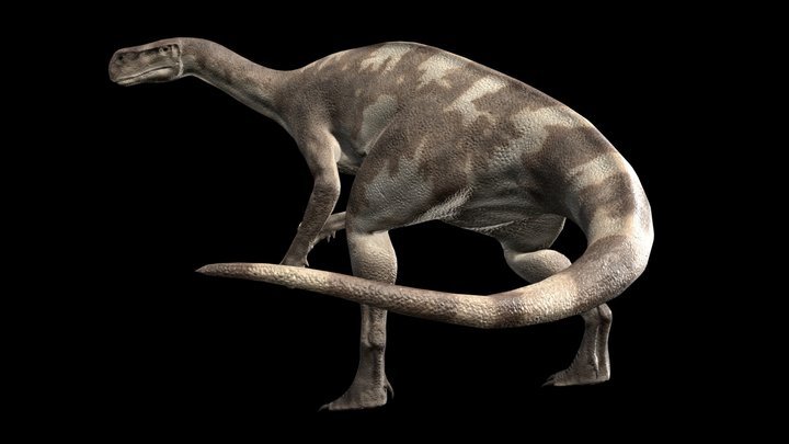 Aardonyx | Dinosaur 3D Model
