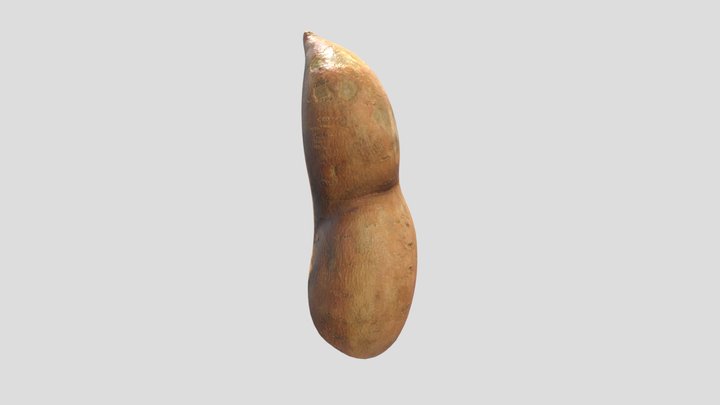 Sweet Potato 3D Model