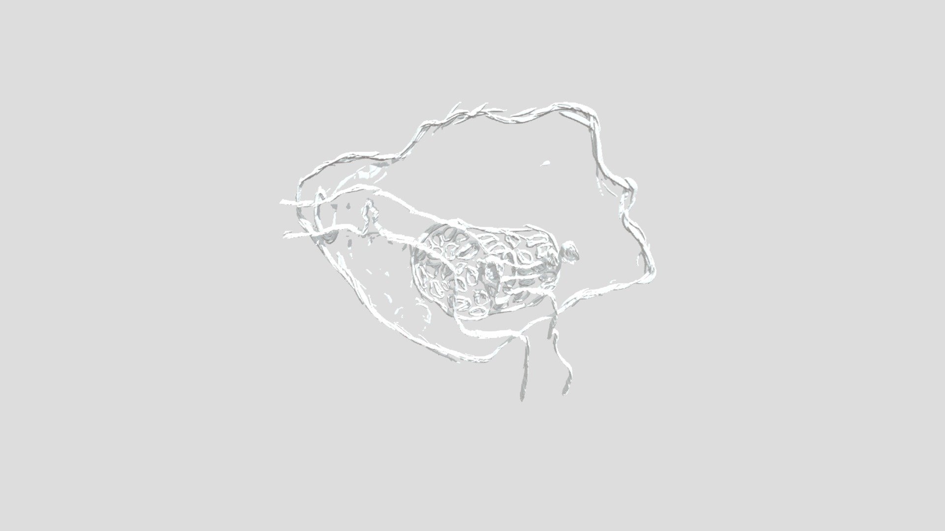 Mastoid Bone illustration