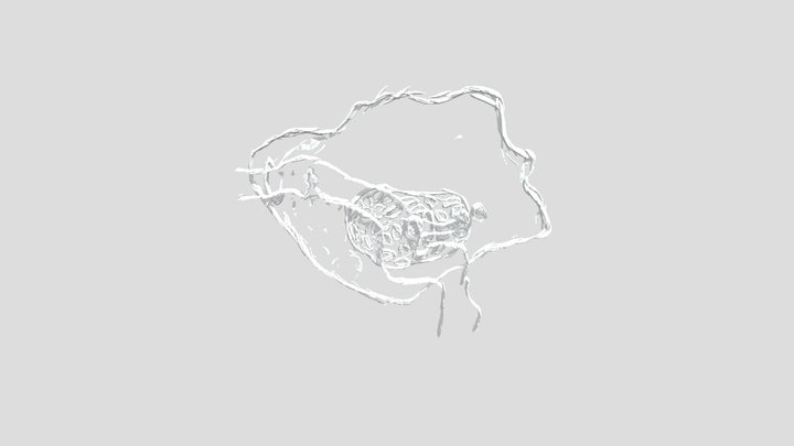 Mastoid Bone illustration 3D Model