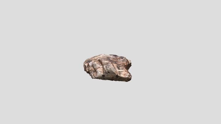 Large Ground Rock - Scanned Photogrammetry 3D Model