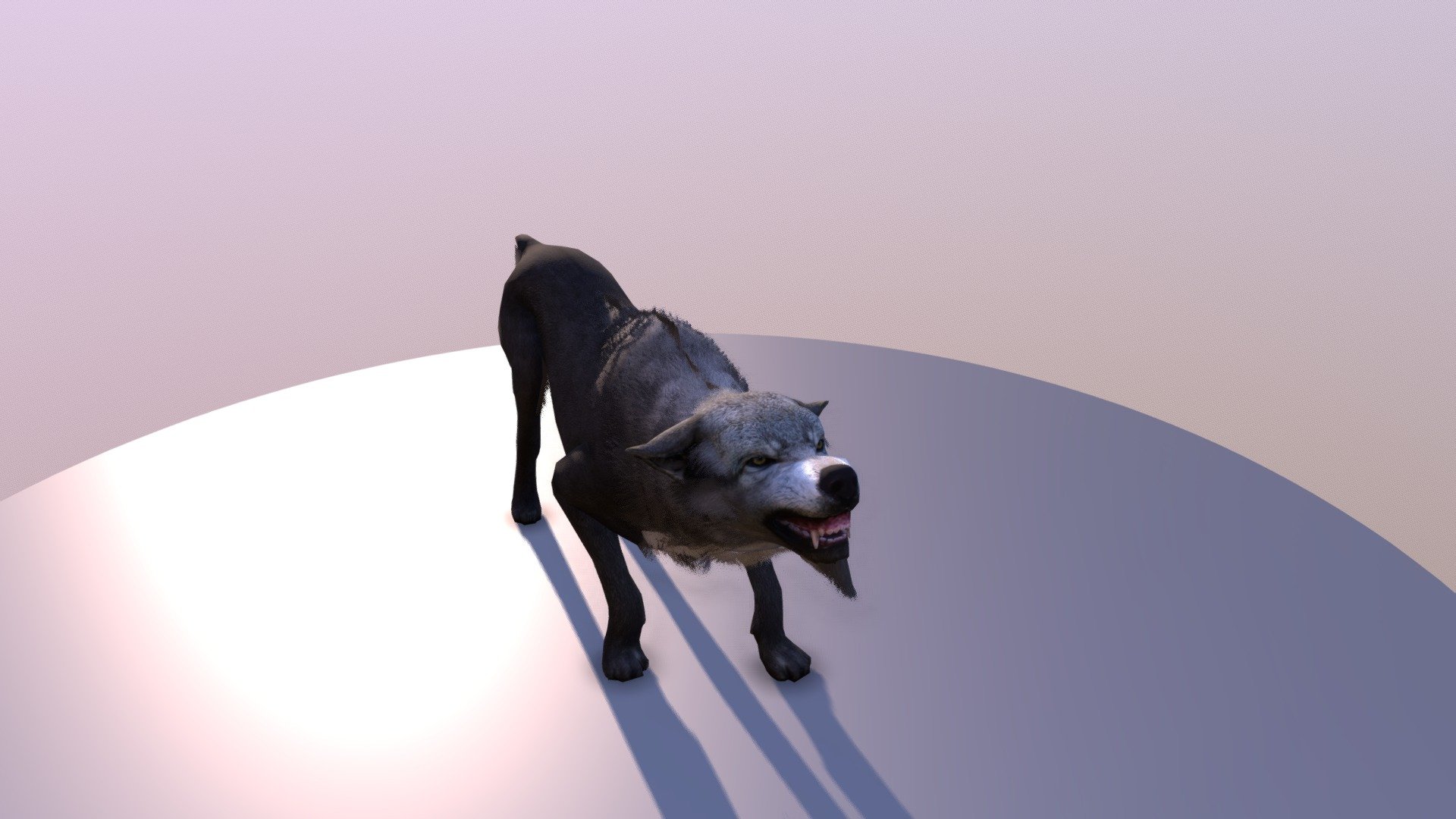Wolf animation