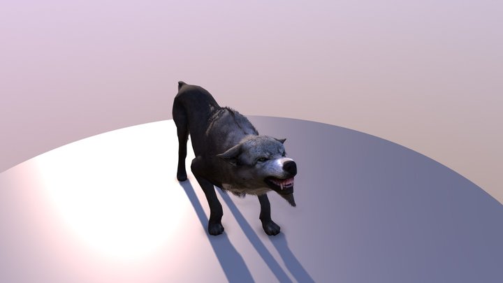 Wolf animation 3D Model