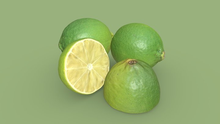 Green Limes 3D Model