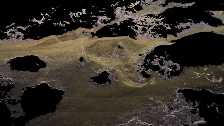 Brth #01f 08 Dense High Conf 0-75 On All, Manual 3D Model