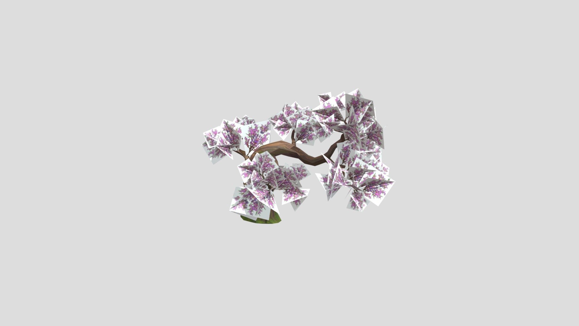 tree red tree flower tree. peach tree