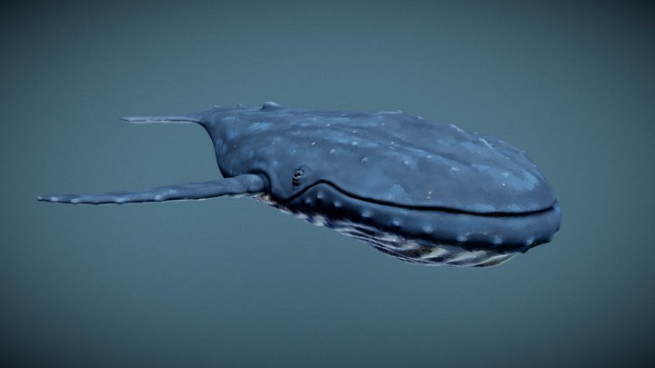 Whale - stylized sculpture 3D Model