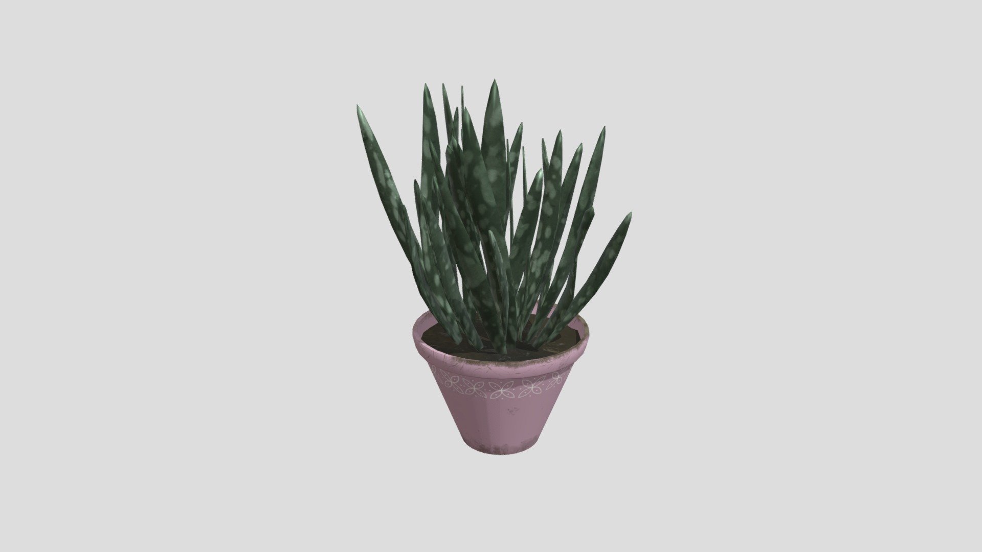 plant