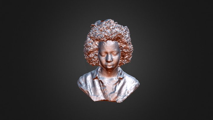 Afro 3D Model