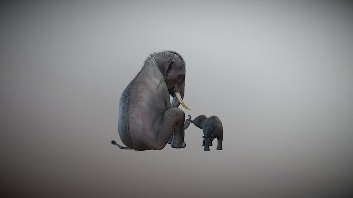 Indian Elephants 3D Model