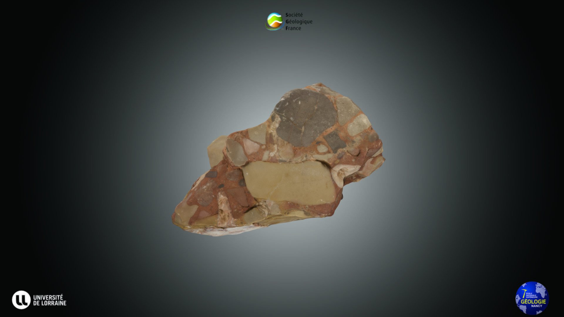 Roche - Brèche polygénique carbonatée - Download Free 3D model by ...