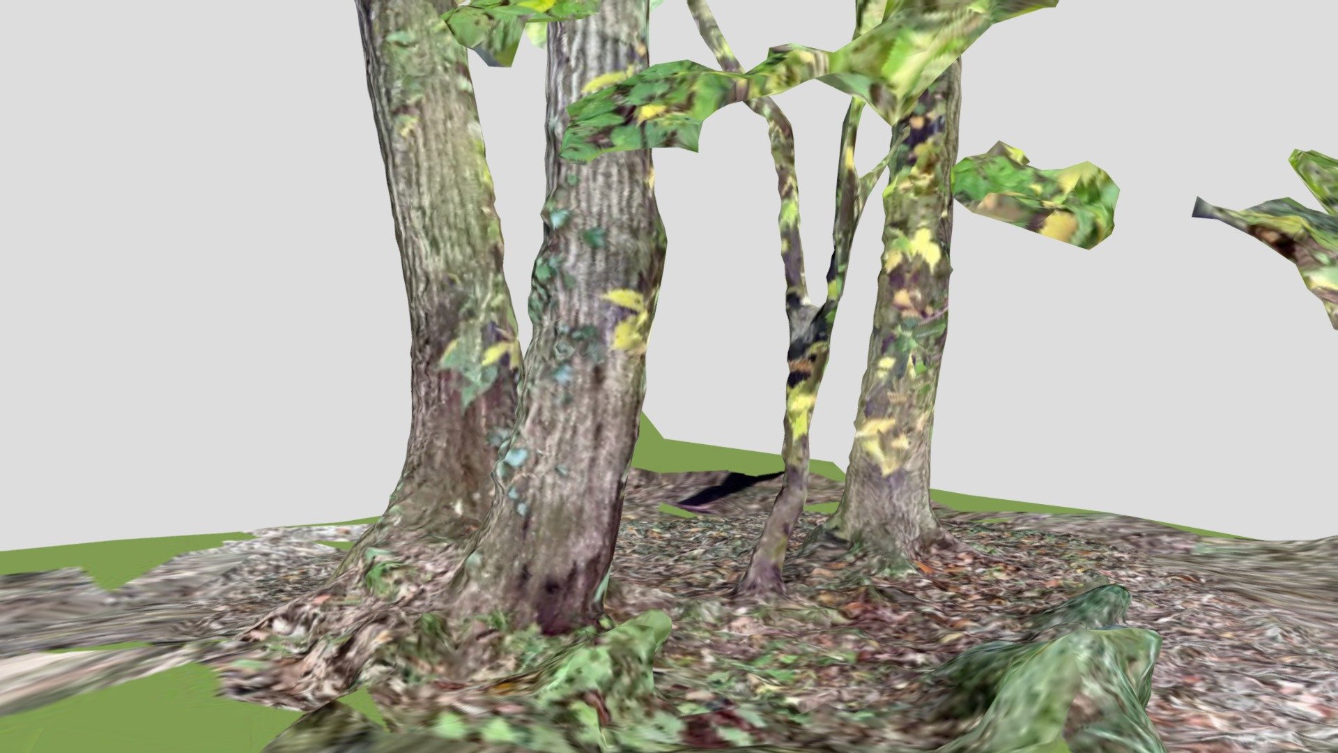 Metascan-20211102-1555 — Sketchfab embed 3D viewer