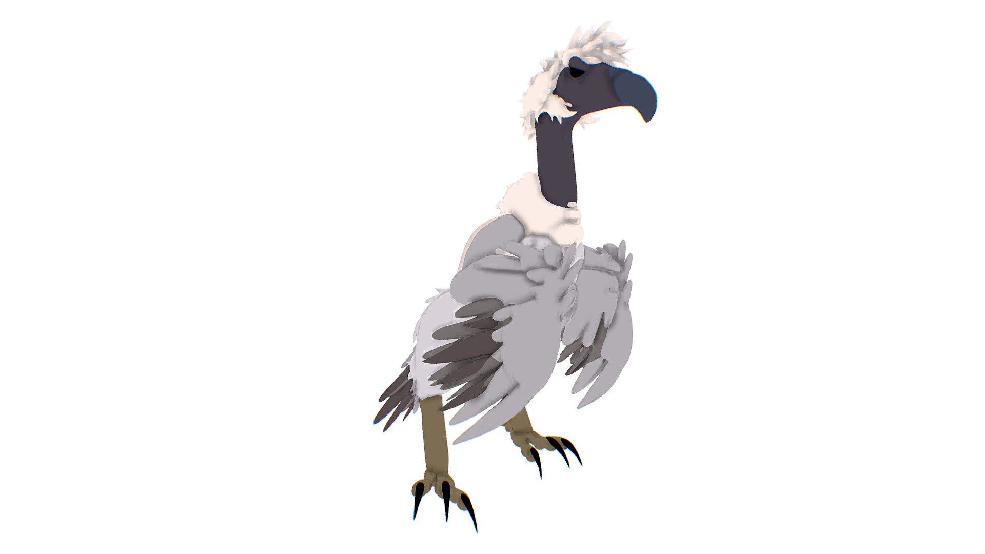 bird