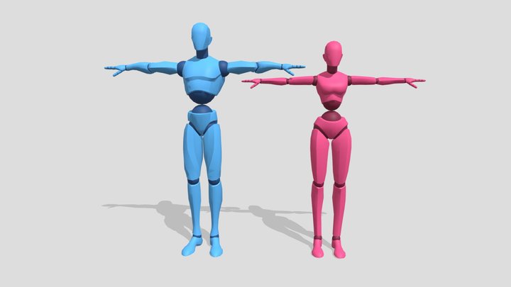 Humanoid Mannequins 3D Model