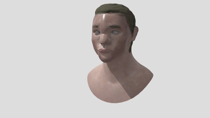 HeadSculpt 3D Model