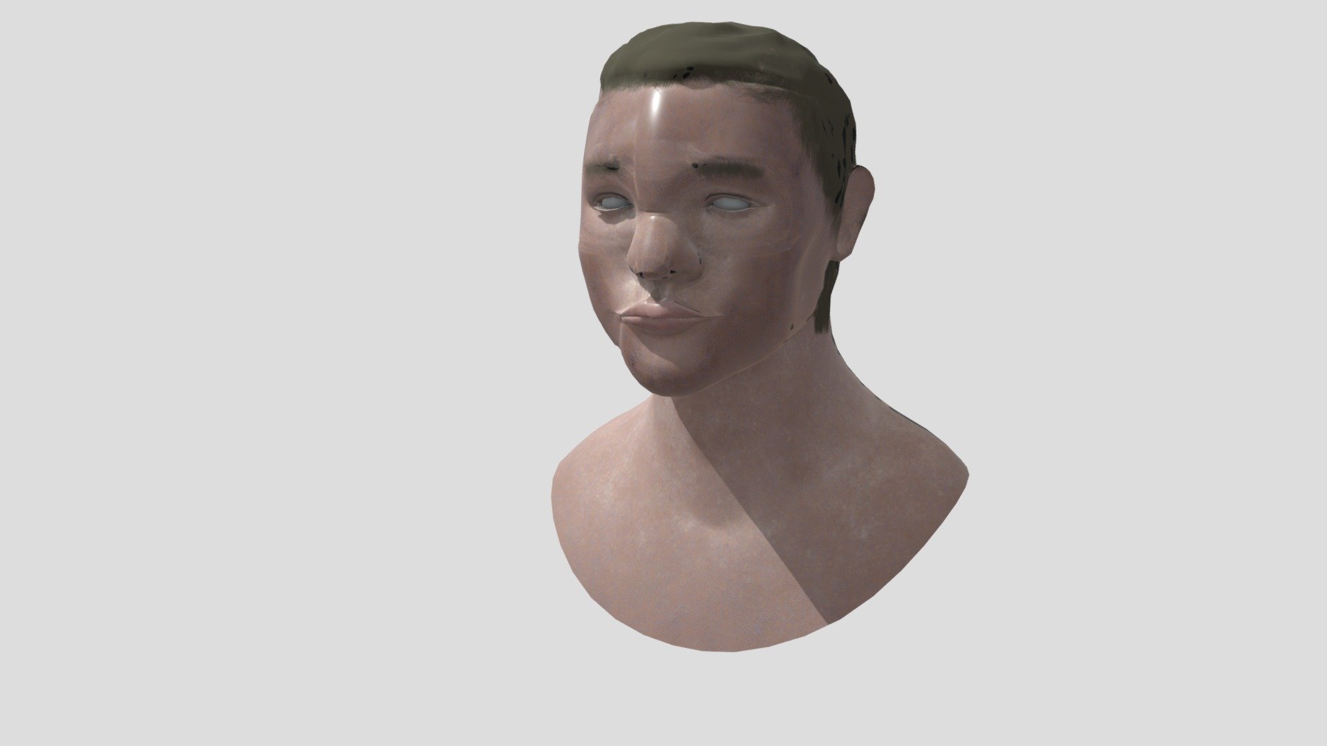 HeadSculpt