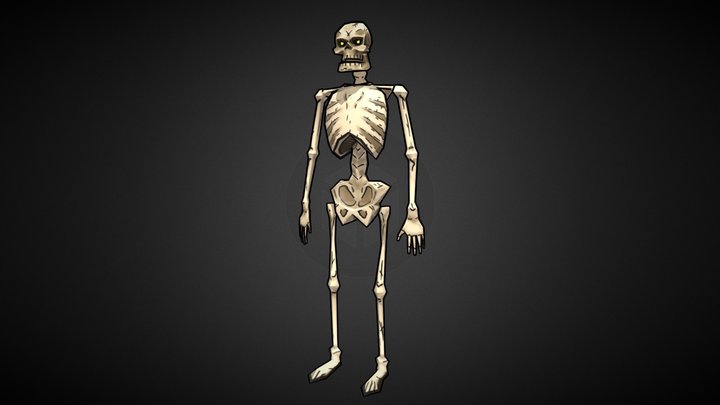 Skeleton Low Poly Cel Shading Model 3D Model