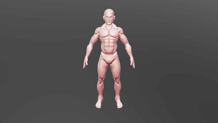 Male body 3D Model