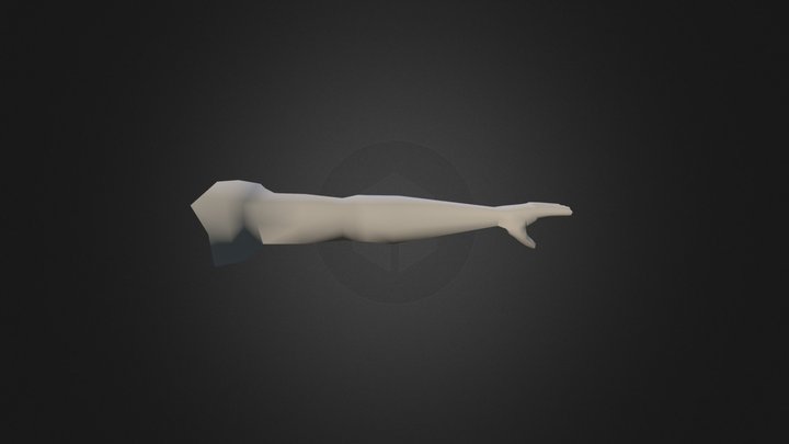 Arm 3D Model
