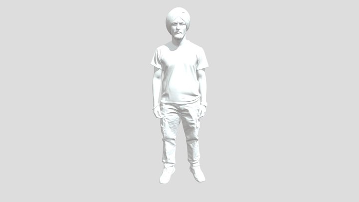 Shan model 3D Model