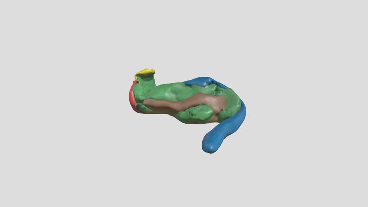 Sammy the chameleon – Free 3D Model STL